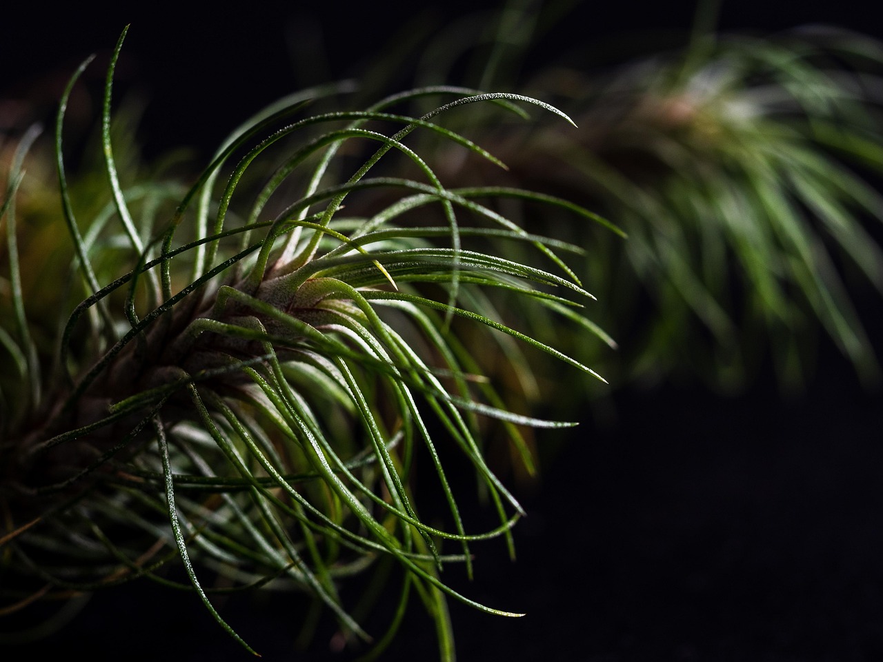 VX账号买卖：补订单app详情下载教程