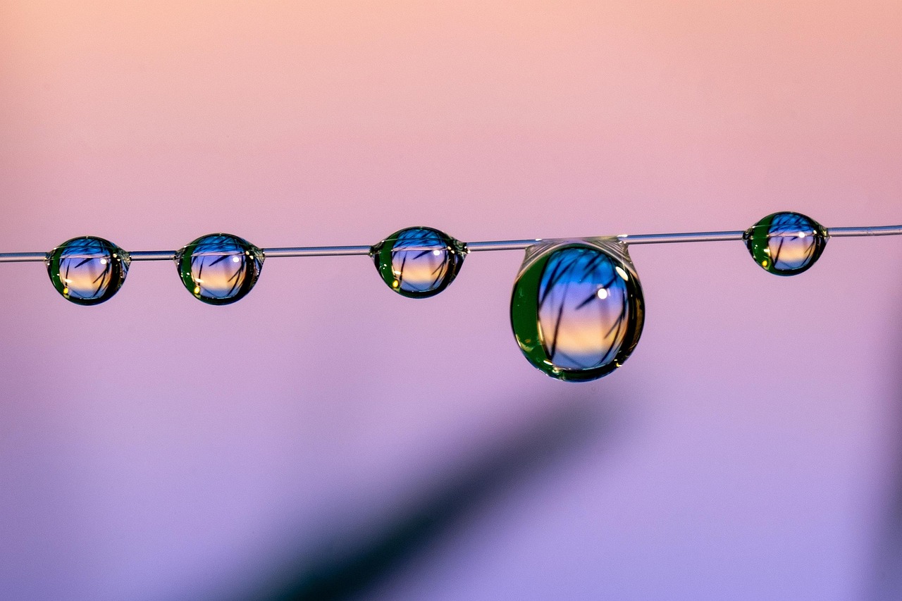 大小招卡实名账号：瑞安申请工商注册代理机构