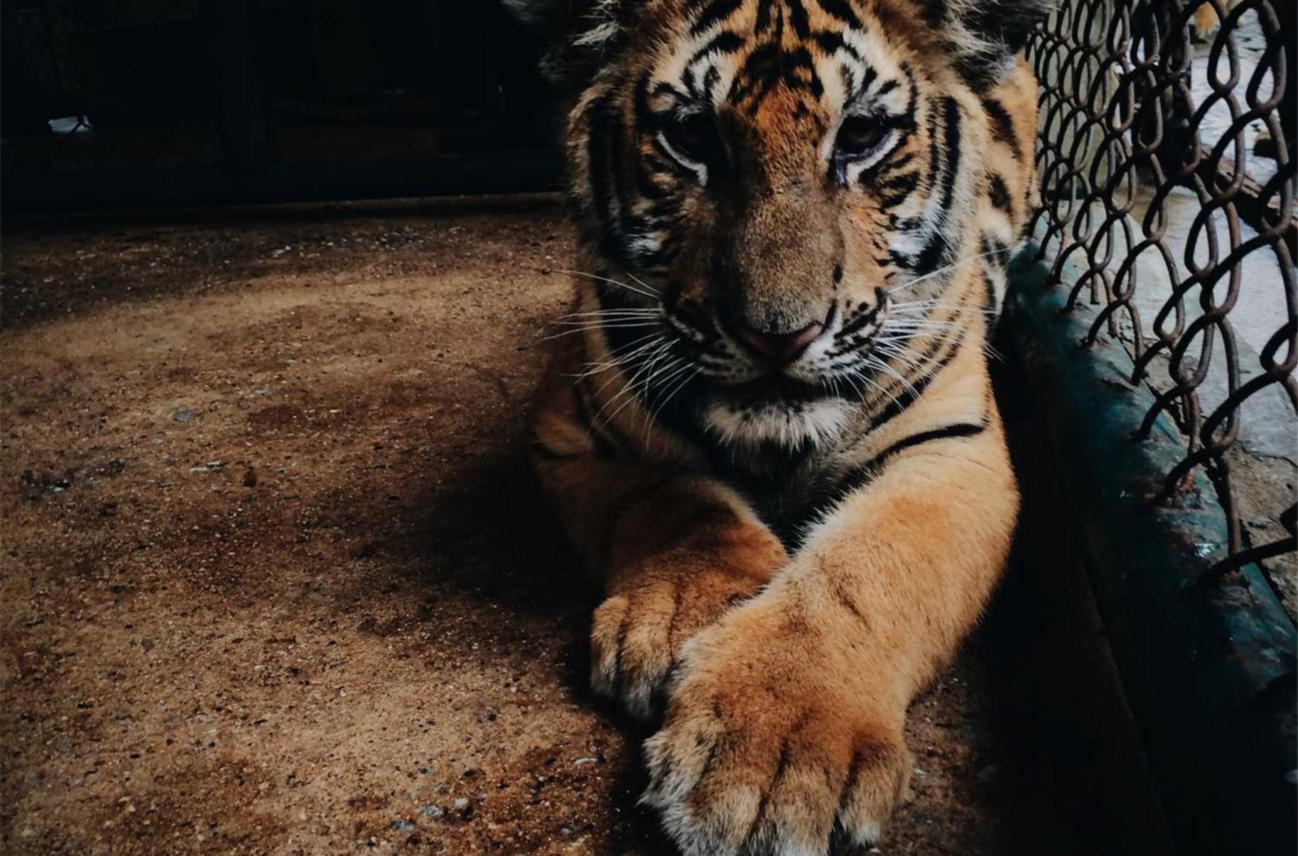 购买游戏账号被骗能立案